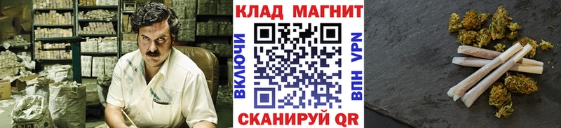 Где купить Канаш Альфа ПВП  МАРИХУАНА  Псилоцибиновые грибы  ГАШ  Кокаин  Мефедрон 