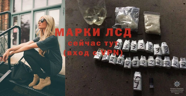 PSILOCYBIN Бугульма