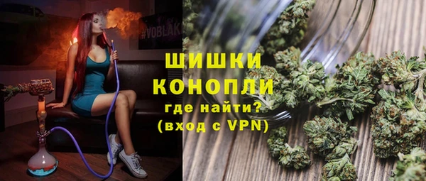 мдпв Бородино