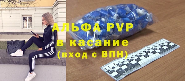 мдпв Бородино