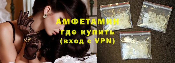 мдпв Бородино